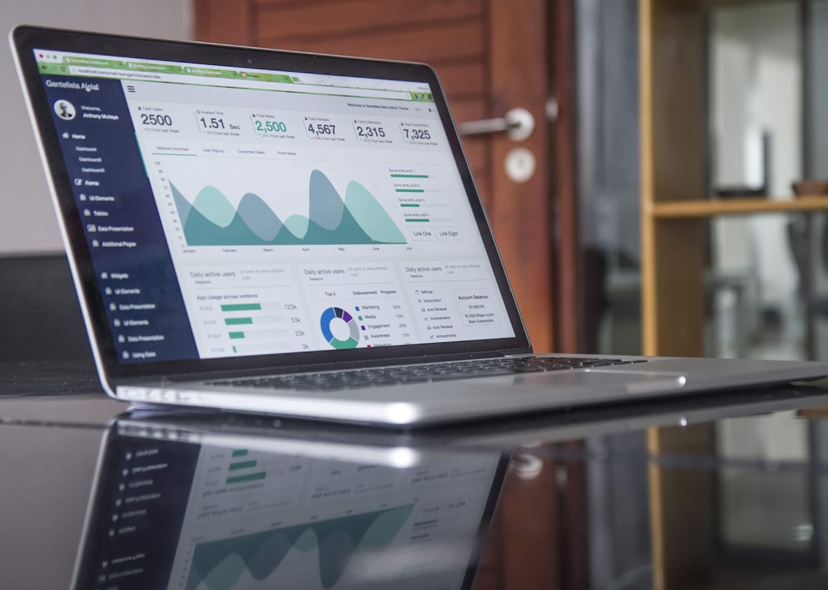 An analyst reviewing dashboards on a laptop.
